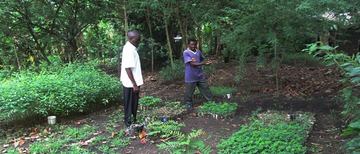 youth partnership uganda enviromental conservation